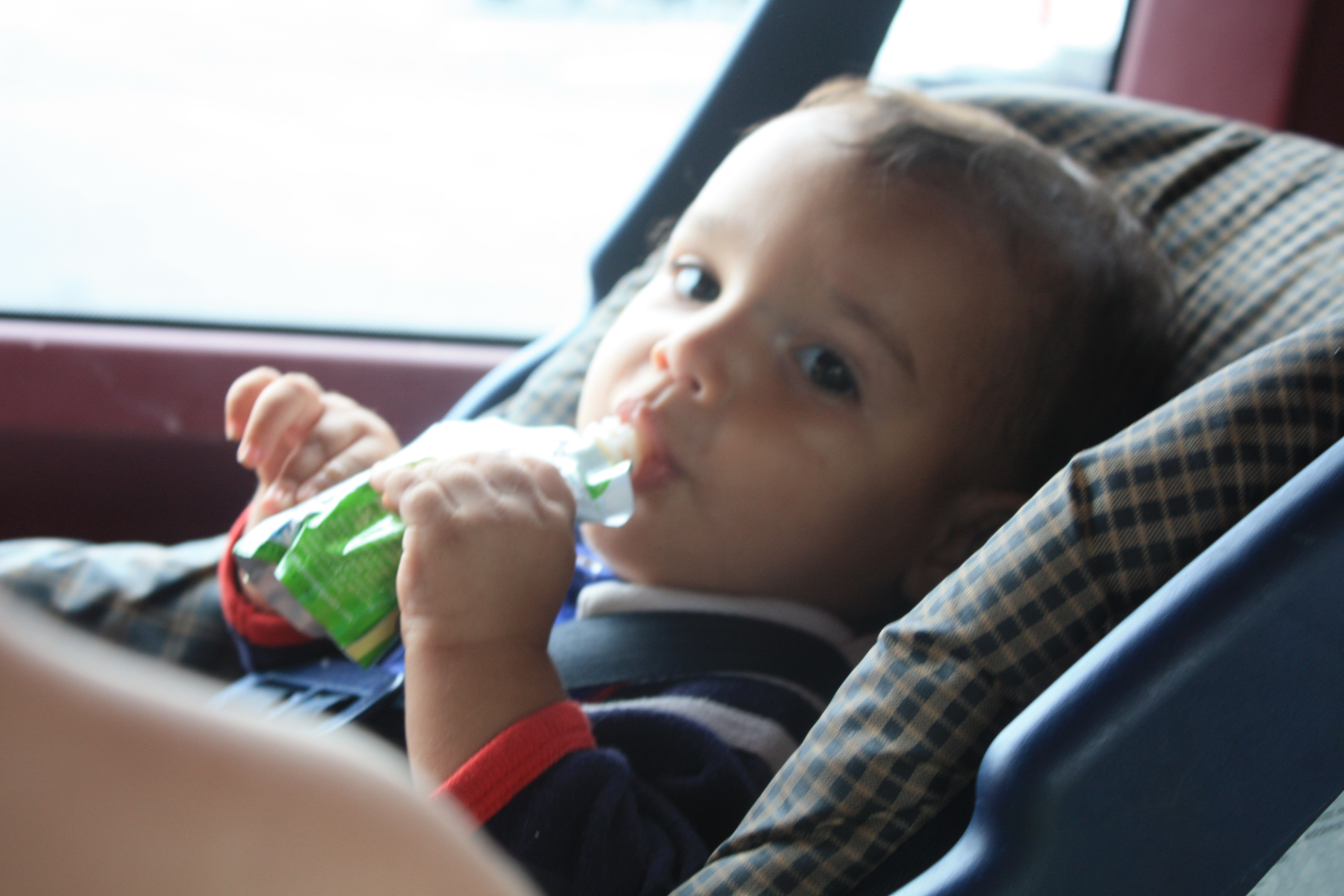 Feeding a Family Well on a Long Car Trip – What to Eat?