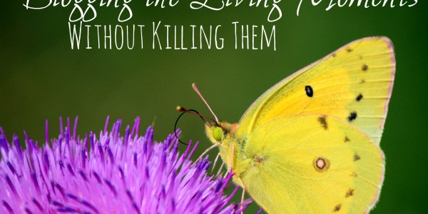 Blogging the Living Moments Without Killing Them